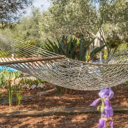 סנטני Finca Sa Punta מראה חיצוני תמונה